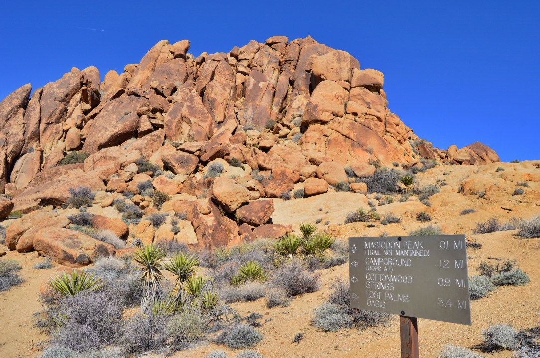 HDRtist HDR - http://www.ohanaware.com/hdrtist/