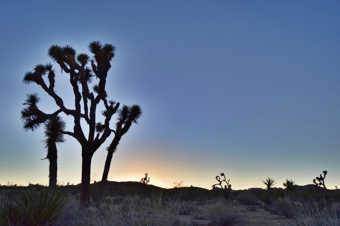 HDRtist HDR - http://www.ohanaware.com/hdrtist/